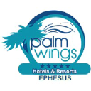 palmwings.com.tr