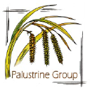 palustrinegroup.com