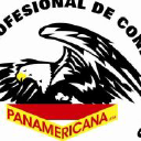 panamericanaltda.cl