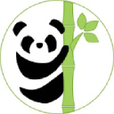 panda-insight.com