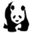 Panda Plywood