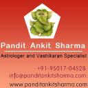 panditankitsharma.com