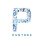 Panton Accountancy Services Limited logo