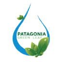 patagoniagreenleaf.com