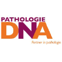 pathologie-dna.nl