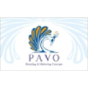 pavo.in
