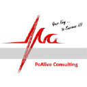 PcAlive Consulting