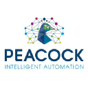 peacock-insights.nl