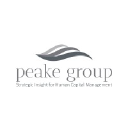 peake-group.com