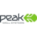 peakwellsystems.com