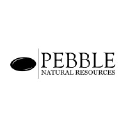 pebblenr.com