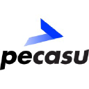 pecasu.com