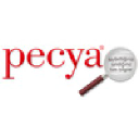 pecya.com