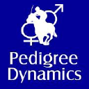 pedigree-dynamics.com.au