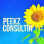 Peekz Consultin logo