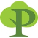 peer-tree.com