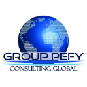 pefy-consulting.com