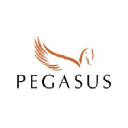 pegasus-consultancy.co.uk
