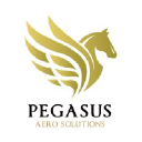 pegasusaerosolutions.com