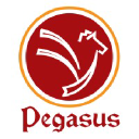 pegasusconsultancy.com