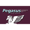 pegasusplasterers.co.uk