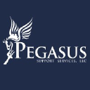 pegasussupport.com