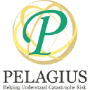 pelagiusconsulting.co.uk