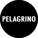 Pelagrino & Co