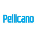 pellicano.com.au