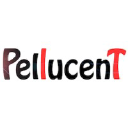 pellucent.com