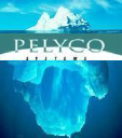 Pelyco Systems Corp