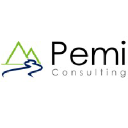 pemiconsulting.com