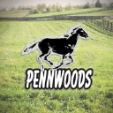 pennwoods.com