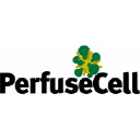 perfusecell.com