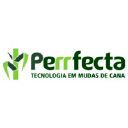 perrfecta.com.br