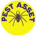 Pestasset