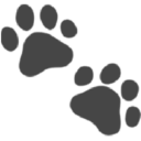 Pet Lens AI