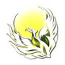 phoenixhha.com