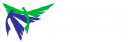 phoneixinfo.com