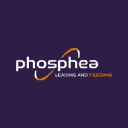 phosphea.com