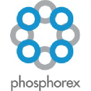 Phosphorex Inc