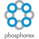 Phosphorex