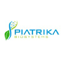 piatrika.com