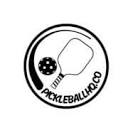 Company logo for pickleballhq.co