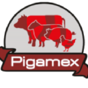 pigamex.com