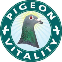 pigeonvitality.com