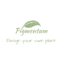 pigmentum.co.il
