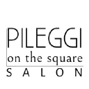 pileggisalon.com