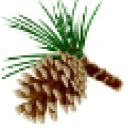 pineconeconsulting.com