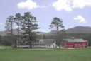 Pinestead Farm Lodge
